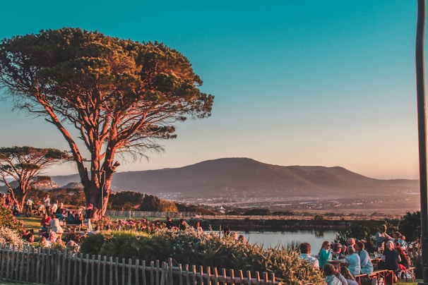 A serene village scene with community members gathering under a large linden tree, embodying unity.
