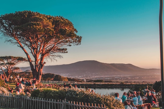 A large tree stands prominently in the foreground with a group of people gathered underneath and around it, enjoying a scenic view. The background features a range of hills and a clear blue sky during what appears to be late afternoon or early evening. The scene depicts a peaceful outdoor social setting.
