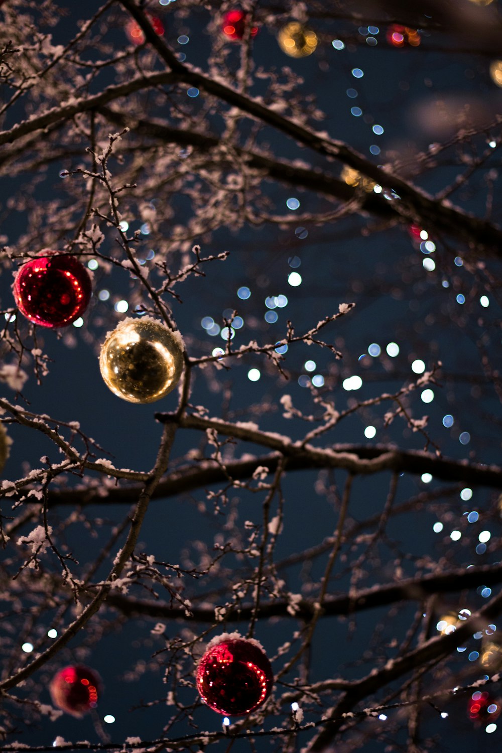 Photographie sélective de boules de Noël