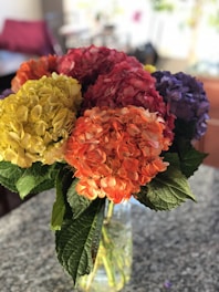 A vibrant bouquet of freshly cut hydrangeas ready for export.