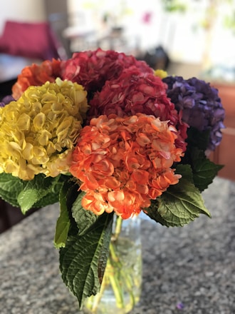 A vibrant bouquet of freshly cut hydrangeas ready for export.