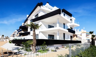 houses surrounded with plants