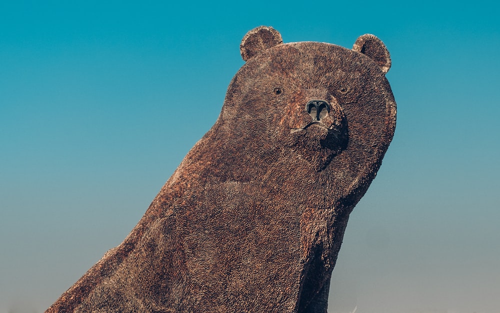 illustration de l’ours brun