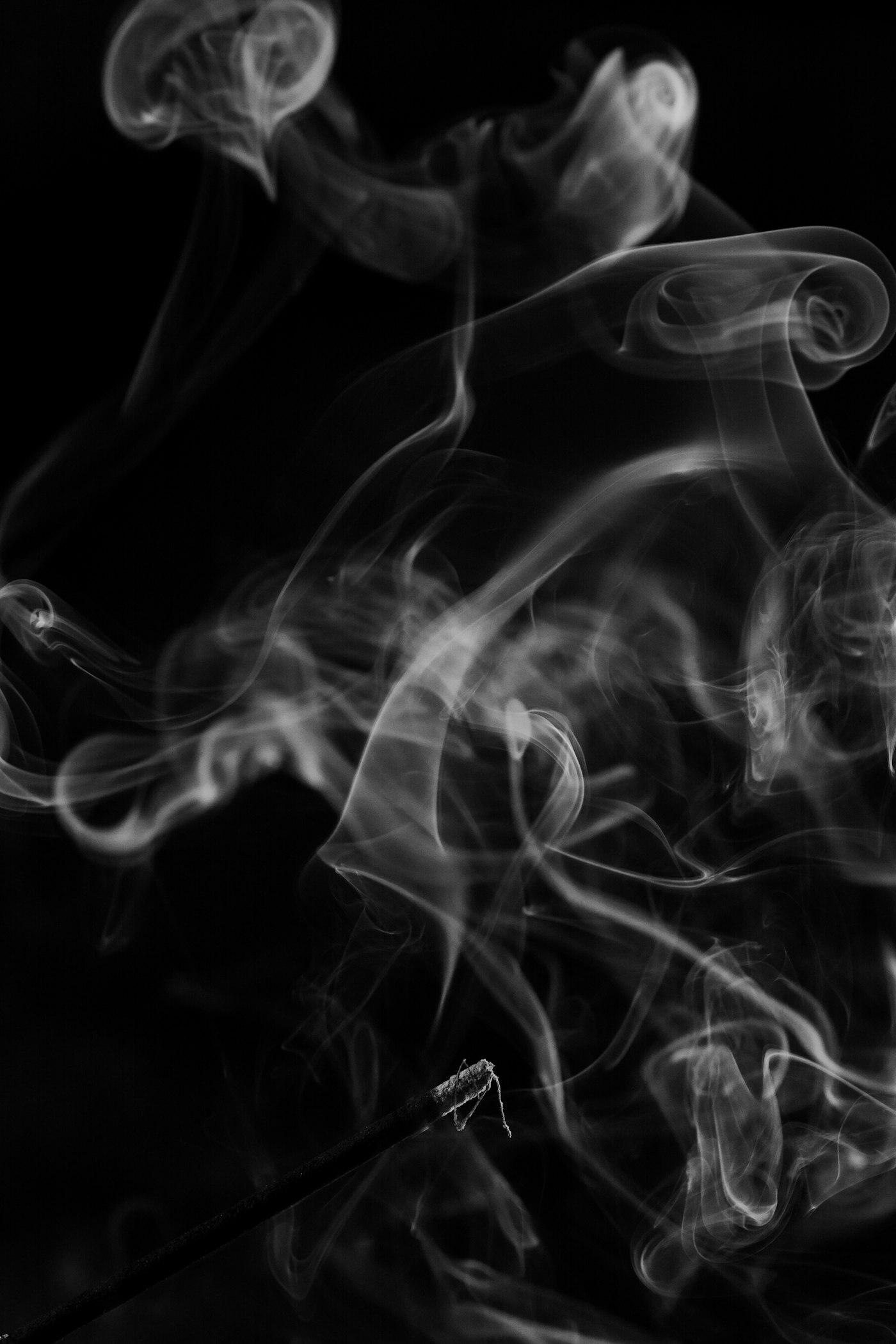 Noir Absolu