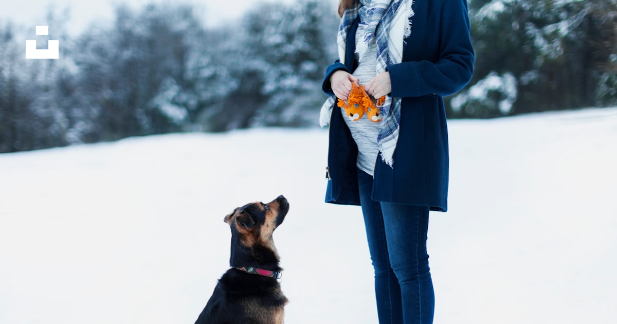 Foto zum Thema Frau, die neben schwarzem hund auf schneefeld steht – Kostenloses Bild zu Hund ...