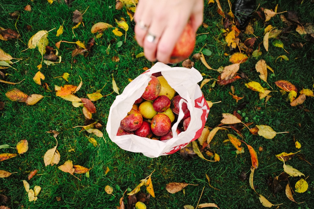 Fotografia selettiva della messa a fuoco della persona che tiene il frutto della mela davanti al pacchetto di plastica bianco con i frutti della mela all'interno