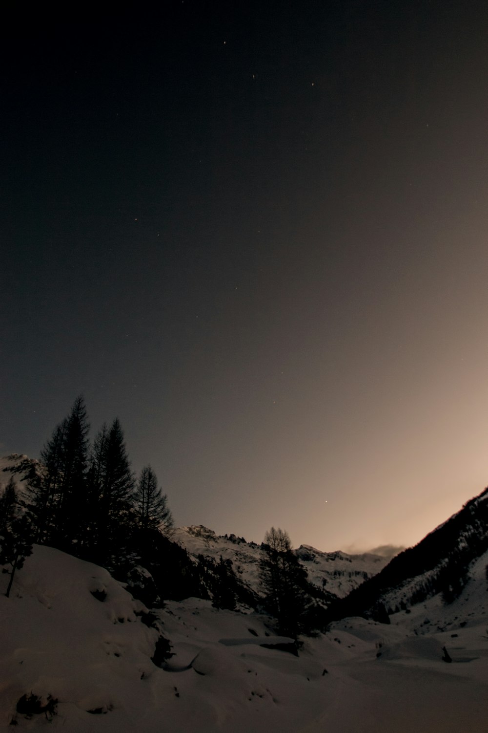 photographie de silhouette de pins dans les montagnes couvertes de neige