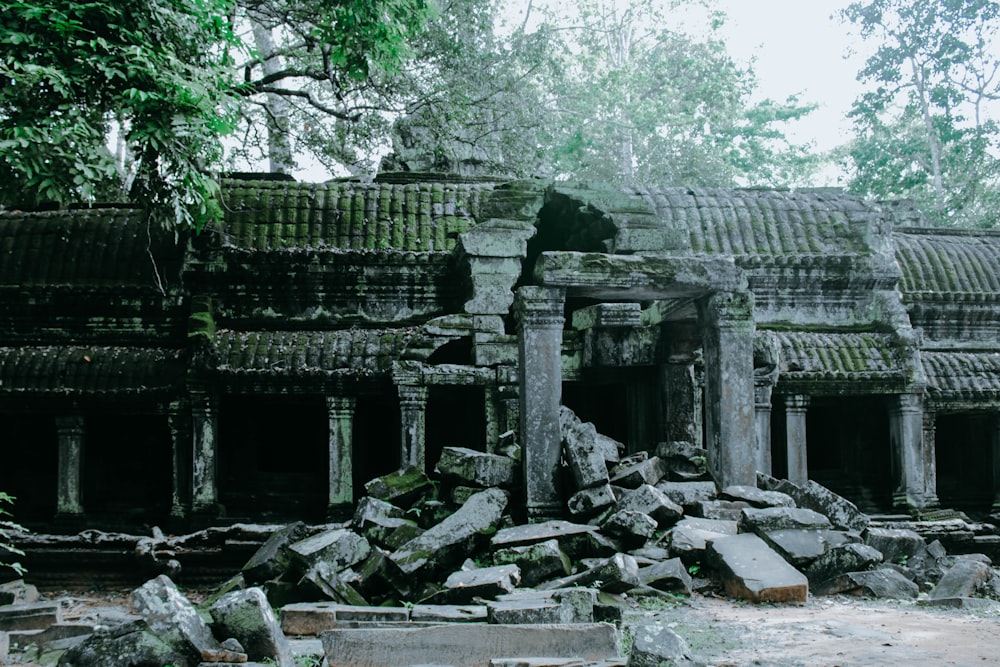 grey concrete ruins near green trees at daytime