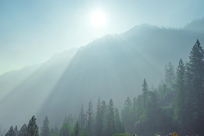 Sunlight filtering through mist over a quiet valley, symbolizing personal enlightenment.