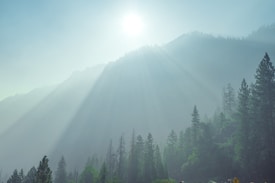 Sunlight streams over a mist-covered mountain landscape, casting ethereal beams through the haze. Tall pine trees rise from the foreground, creating a serene and tranquil atmosphere.