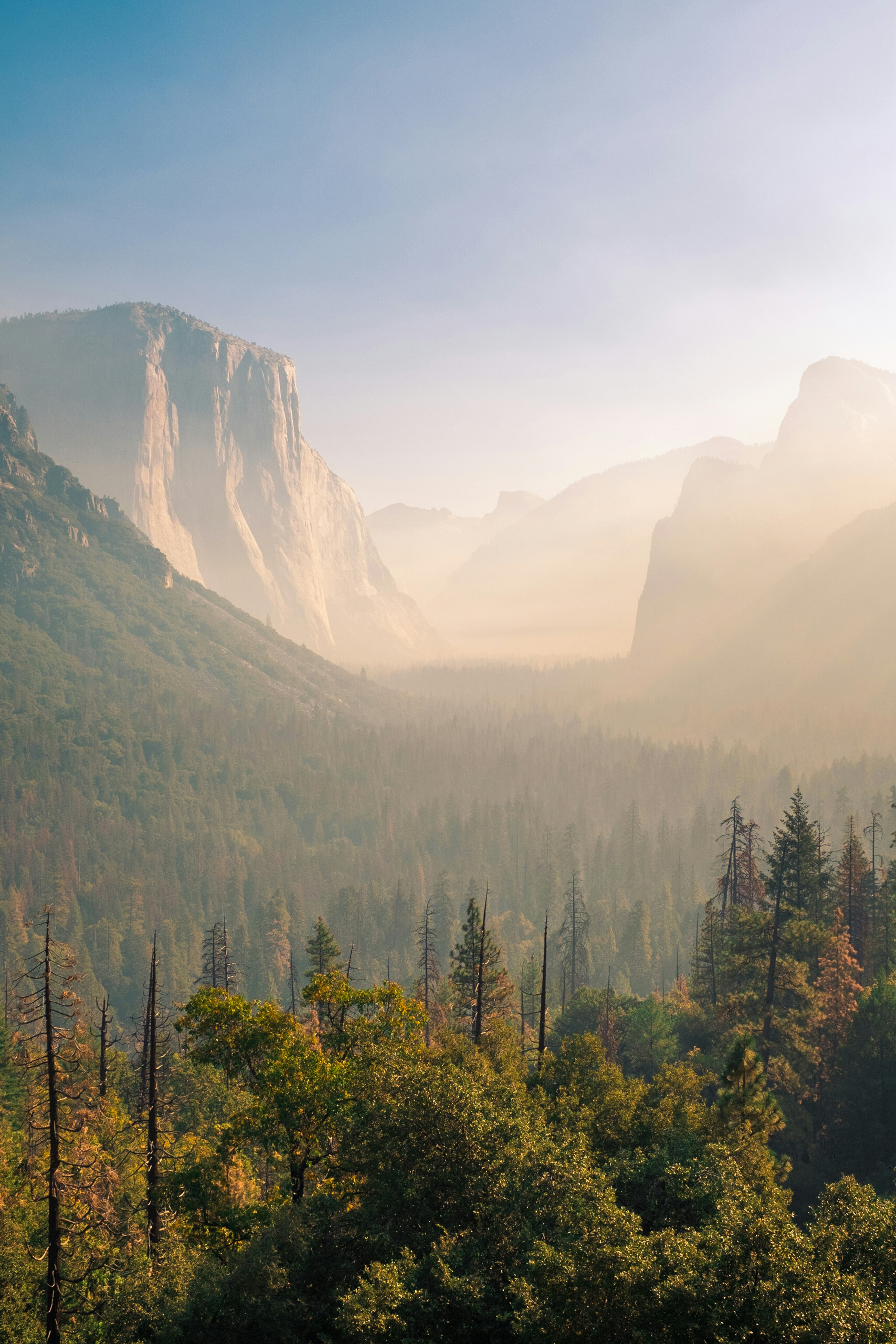 Photo by chrislawton