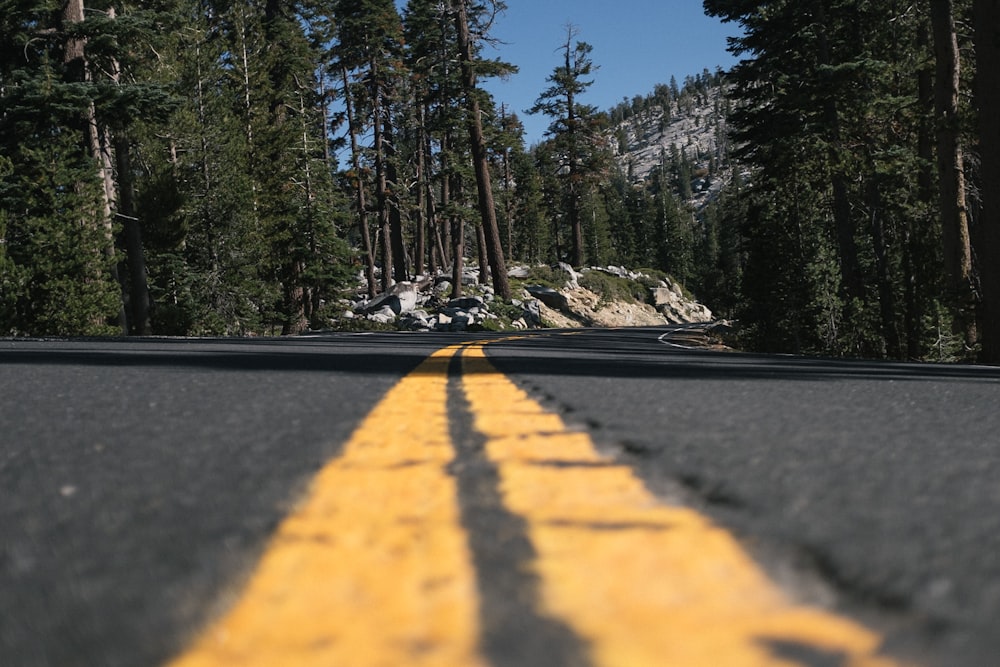 Foto de ángulo bajo de una carretera rodeada de árboles