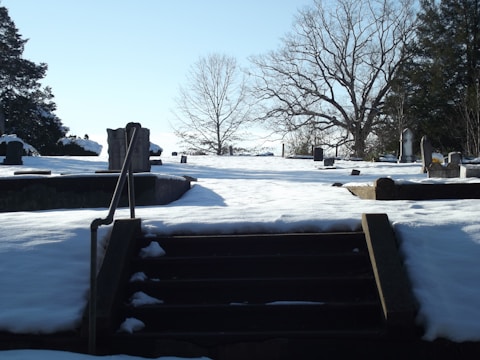 A snow-covered cemetery with gravestones scattered throughout the landscape. Bare trees are visible in the background under a clear blue sky. The image is framed by stairs leading up to the cemetery with a metal railing.