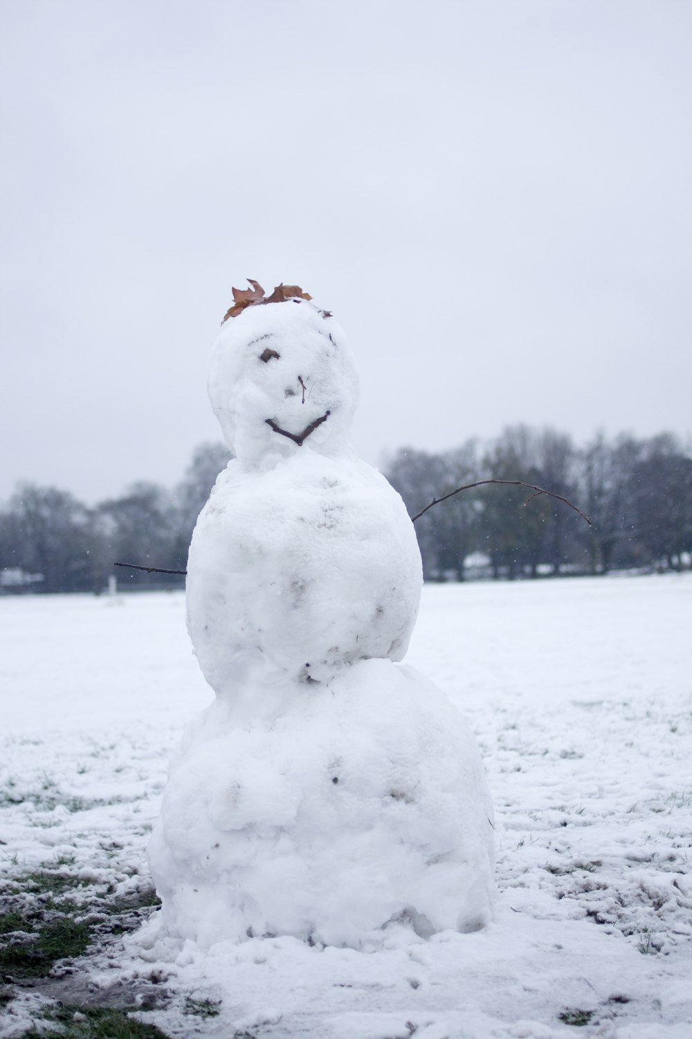 Fotografia de foco seletivo de boneco de neve