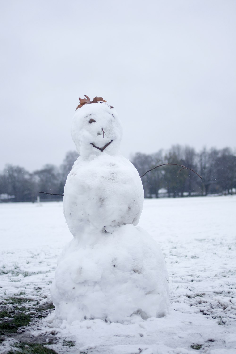 selective focus photography of snowman