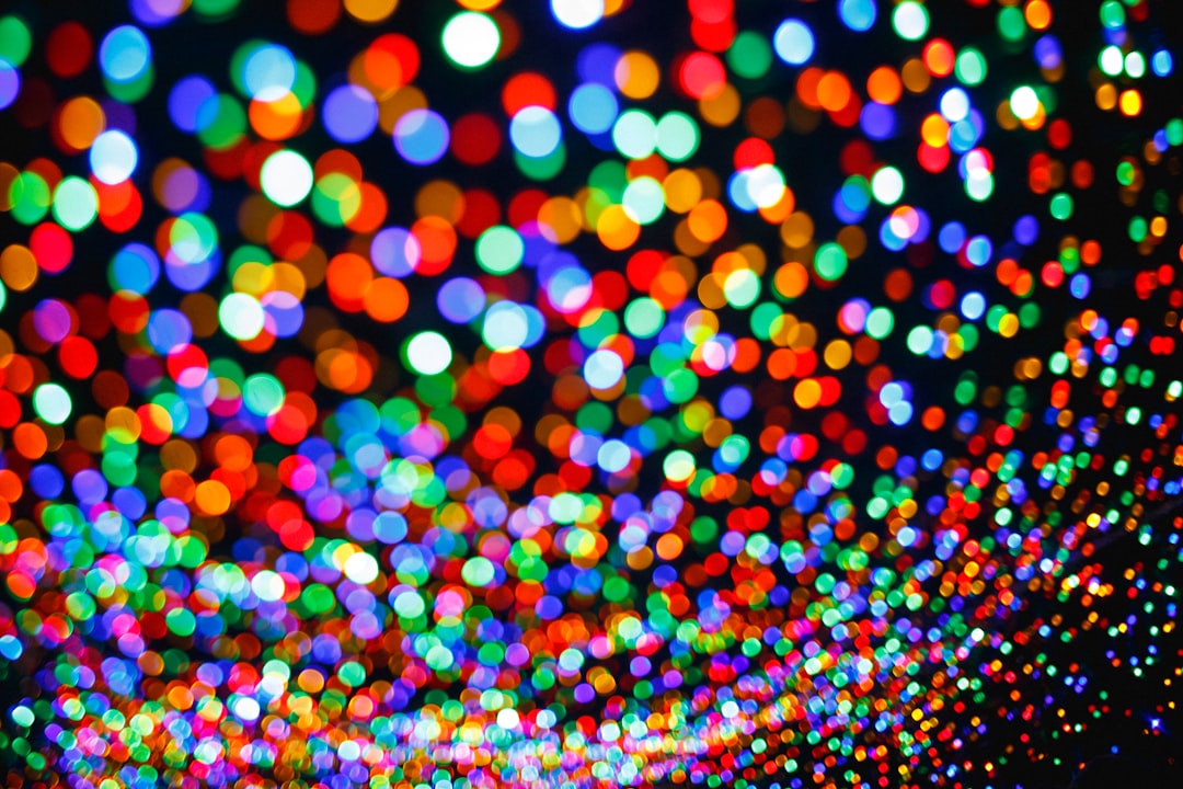 multicolored bokeh photo