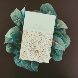 A book titled 'Walden' by Henry David Thoreau is placed on top of a cluster of teal leaves. The book has a light blue cover with decorative floral patterns.