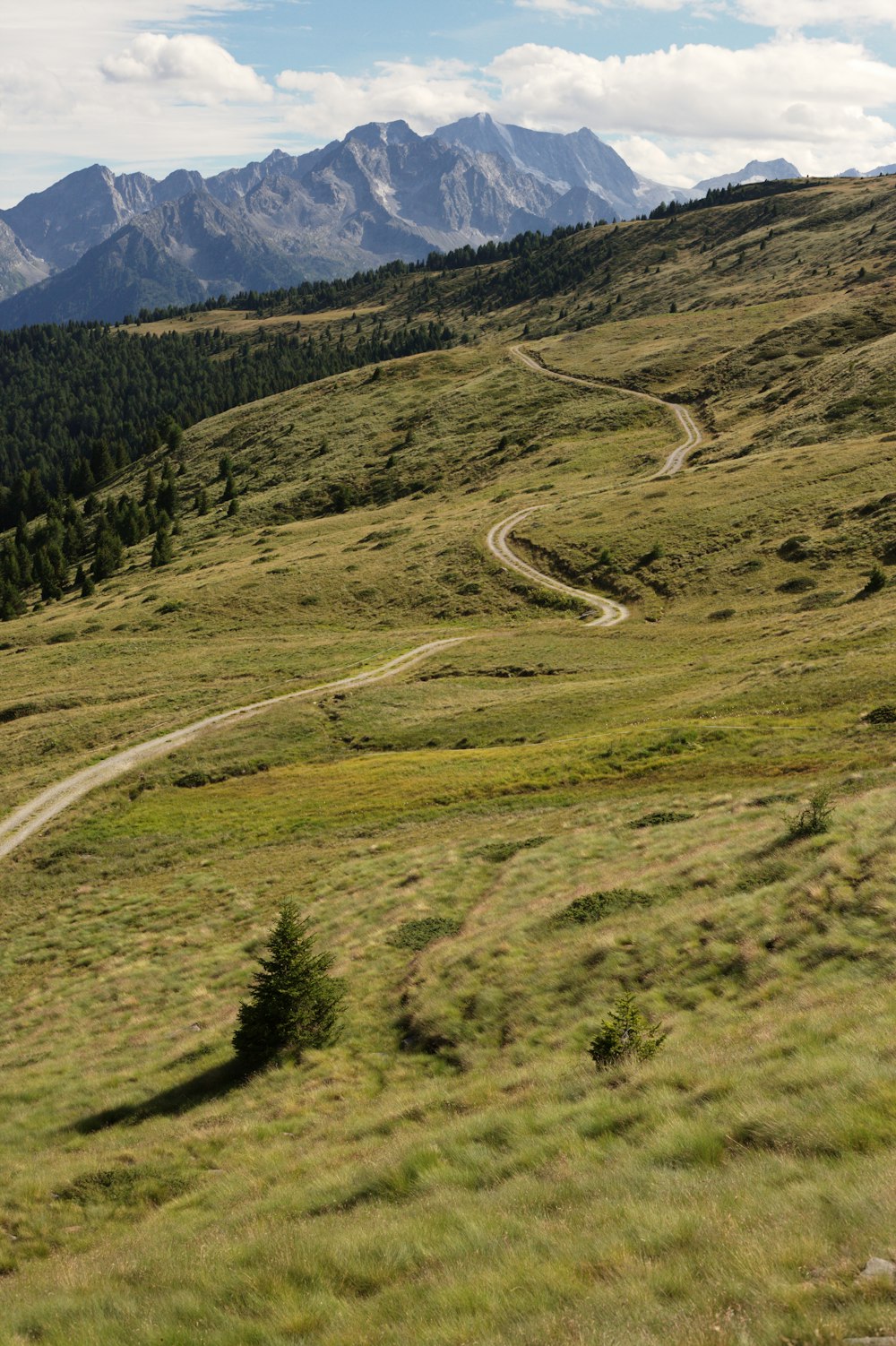 road in between green grass