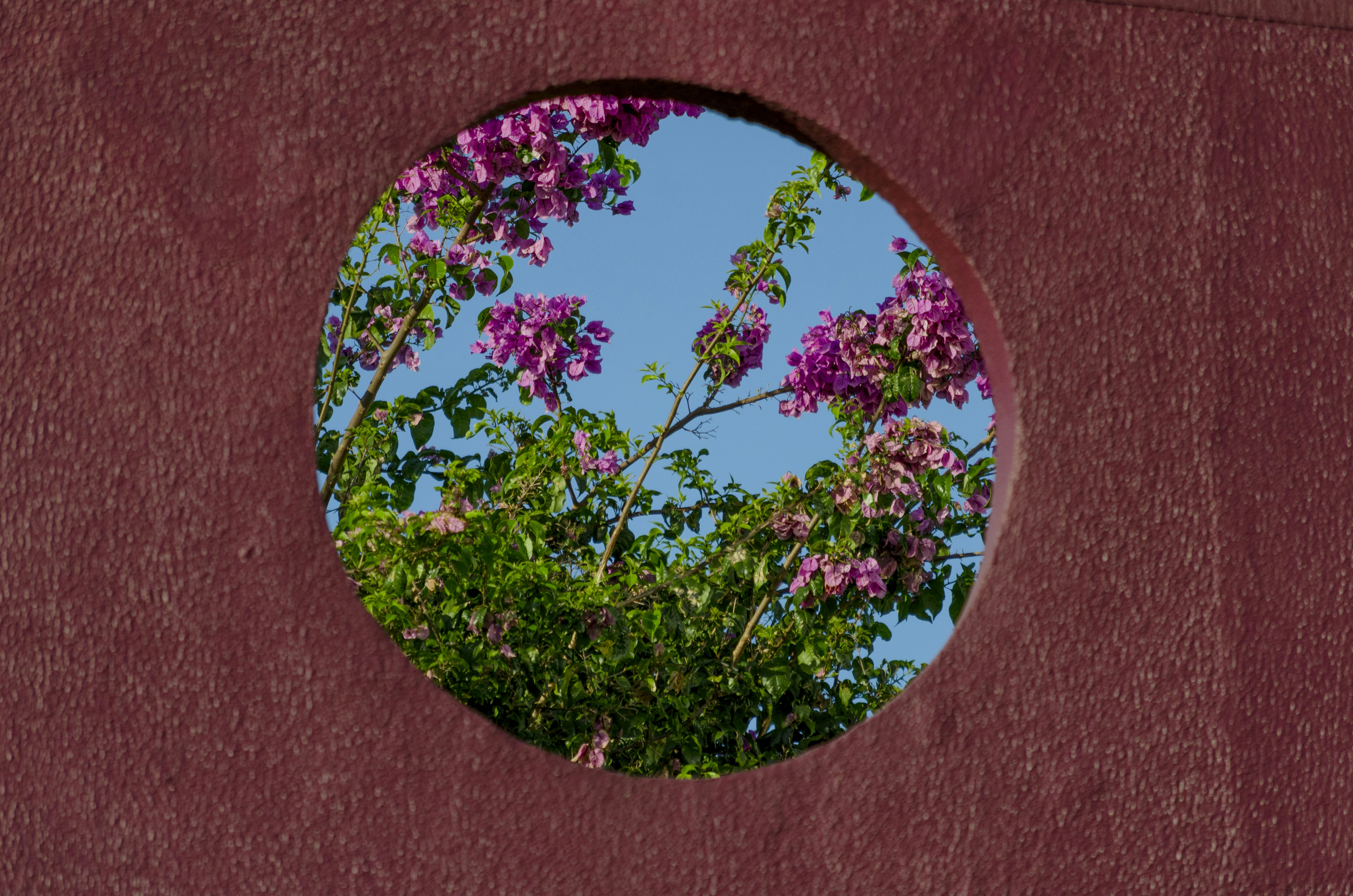 心靈世紀/心靈小品/生活智慧