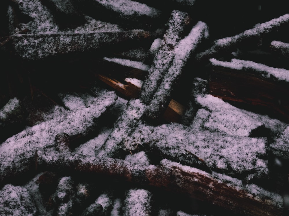 campo di legno tagliato marrone con neve