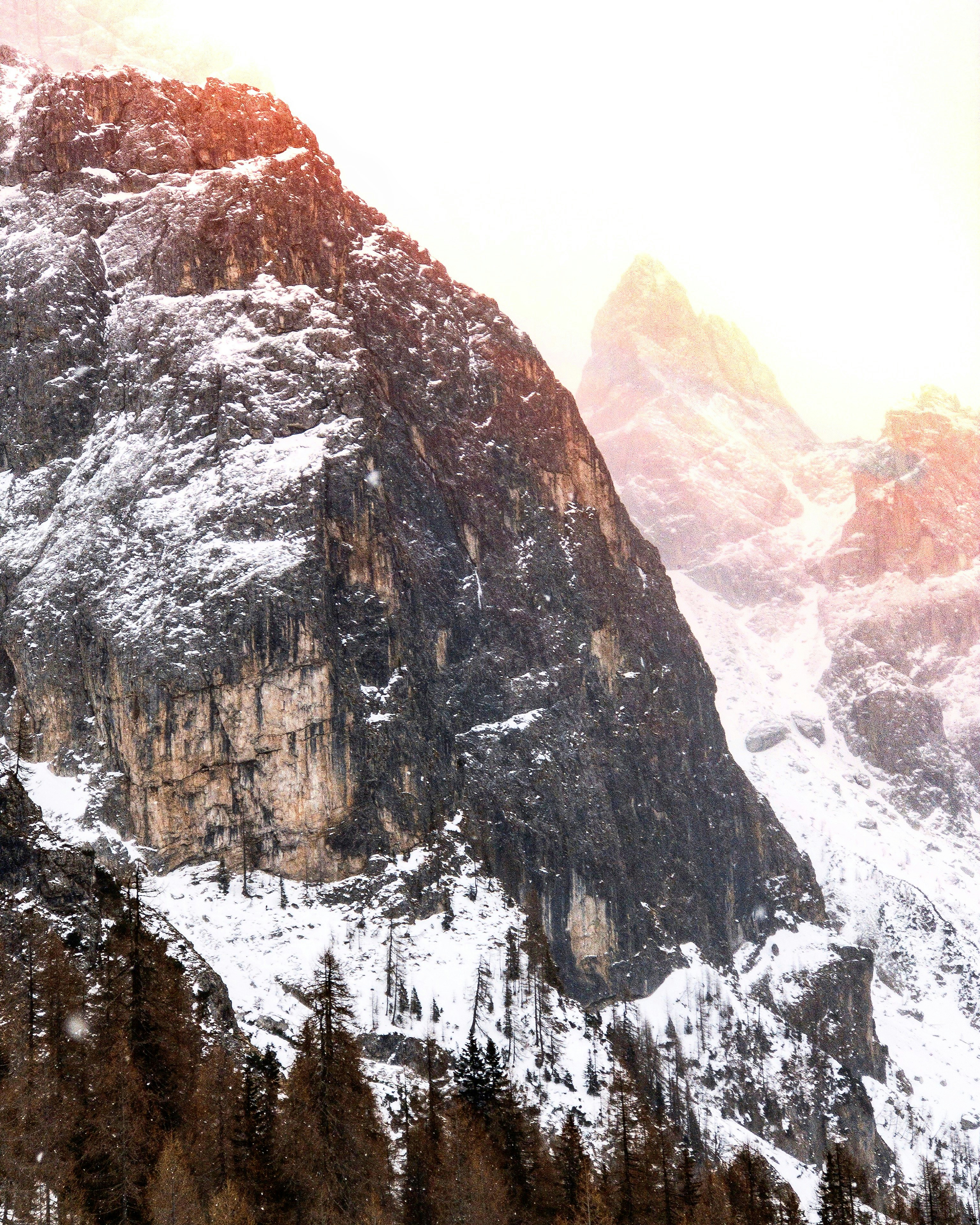 Photo by martino_pietropoli