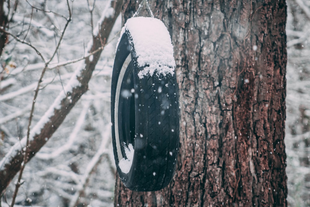 tire hanged on tree while snowing