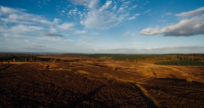 Expansive open land with a mix of cleared fields and forest patches.