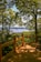 A wooden deck bordered by a railing overlooks a scenic view. Lush green trees frame the scene, with a distant river and landscape visible through the foliage. Sunlight creates playful patterns of light and shadow on the deck surface.
