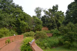 A restored walking path bordered by lush greenery and informational signs.