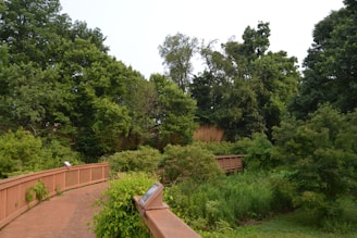 A wooden walkway meanders through a lush, green forest setting, surrounded by dense foliage and tall trees. Signs are visible along the path amidst the vibrant greenery.