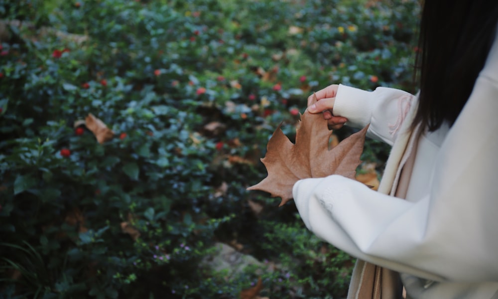 focus photography of woman in white coat holding brown maple leaf