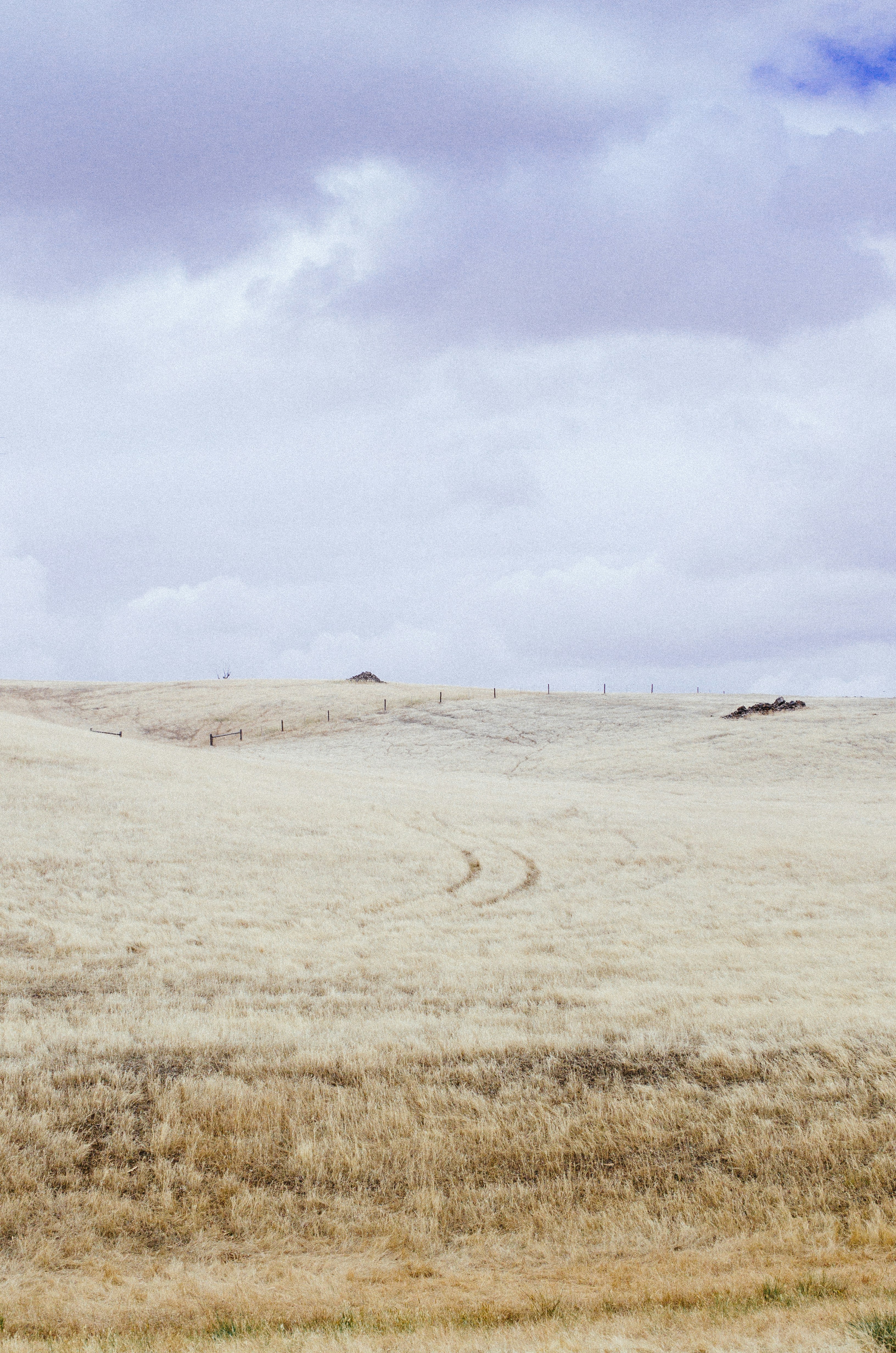 Photo by francescopatrinostro