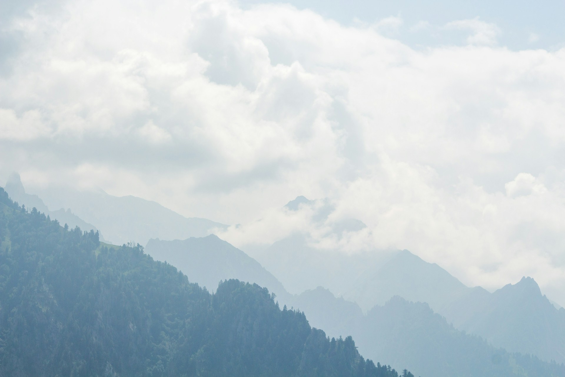 pine trees on mountains under white sky at daytime