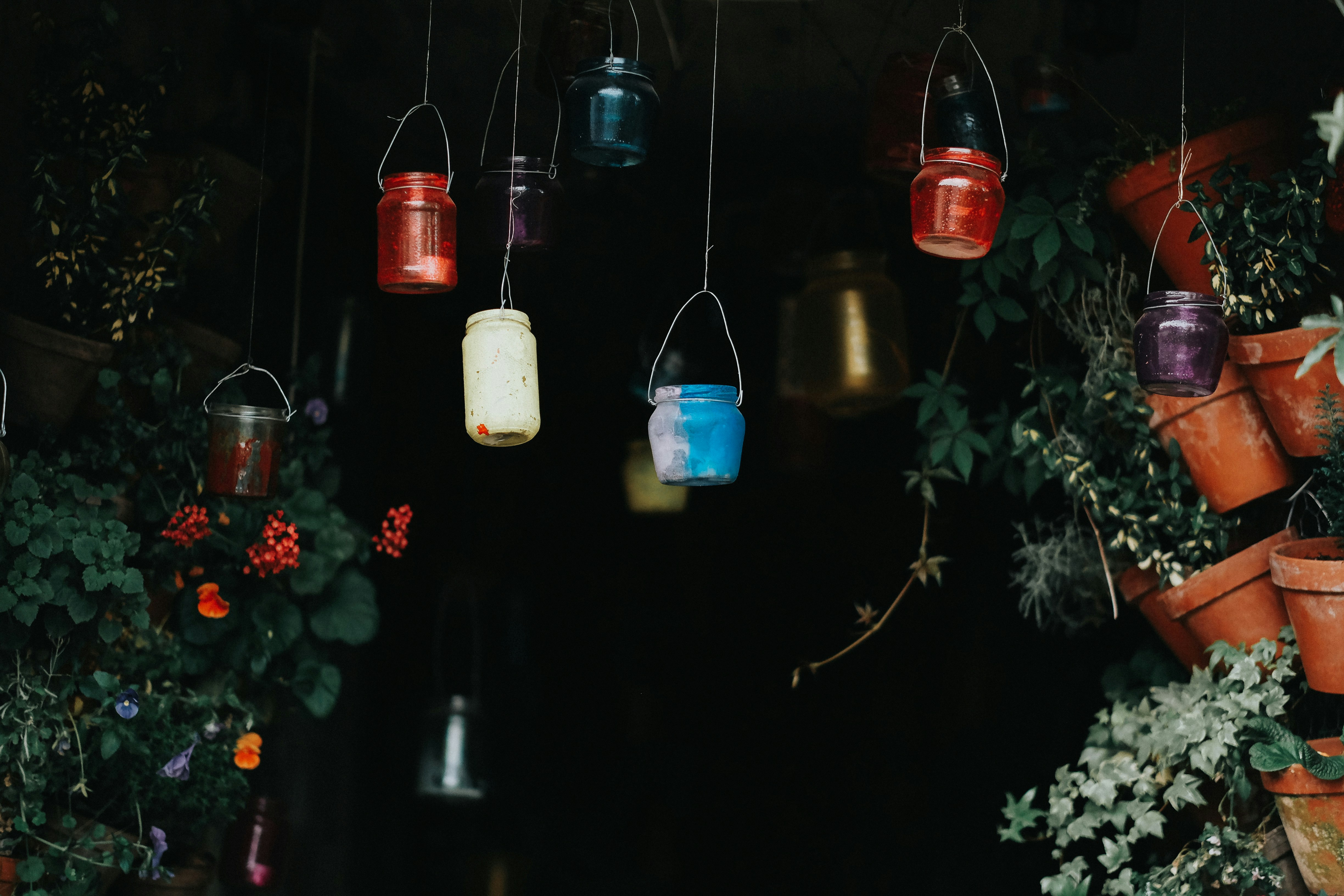 photography of hanging plant pots