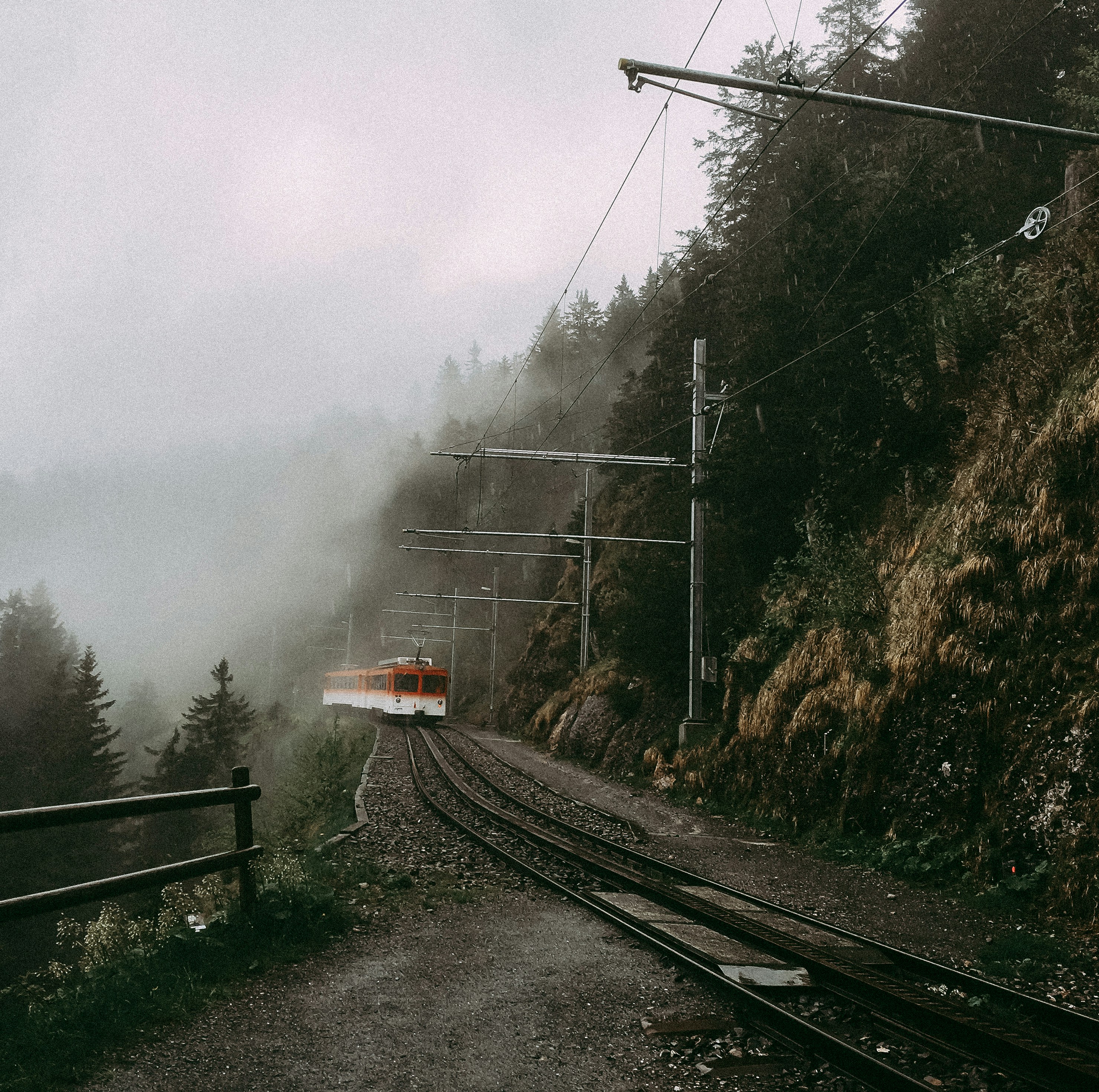 red and white train during daytime