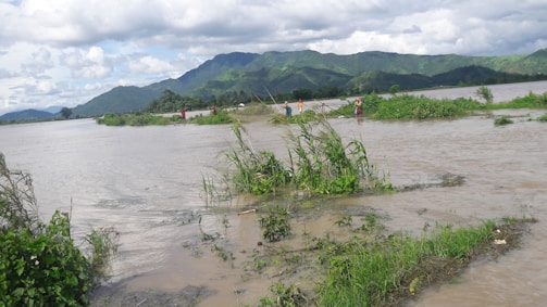 A flooded landscape with water covering a large area. Green shrubs and grass partially submerged, while a mountain range extends across the horizon under a cloudy sky. Several people are wading through the water, indicating a flood situation.