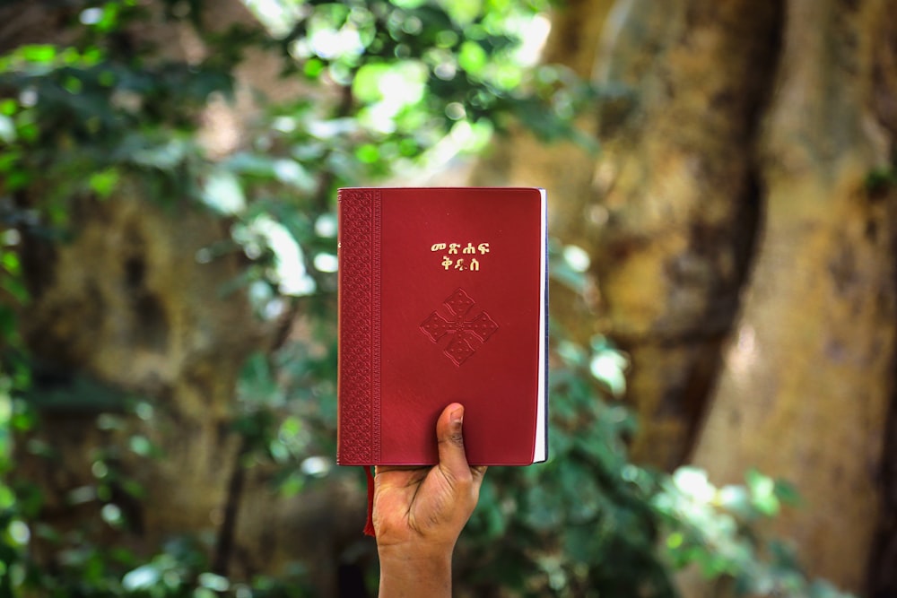 Persona sosteniendo un libro de etiqueta roja en alto