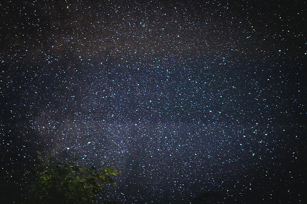 time lapse photography of stars during night time