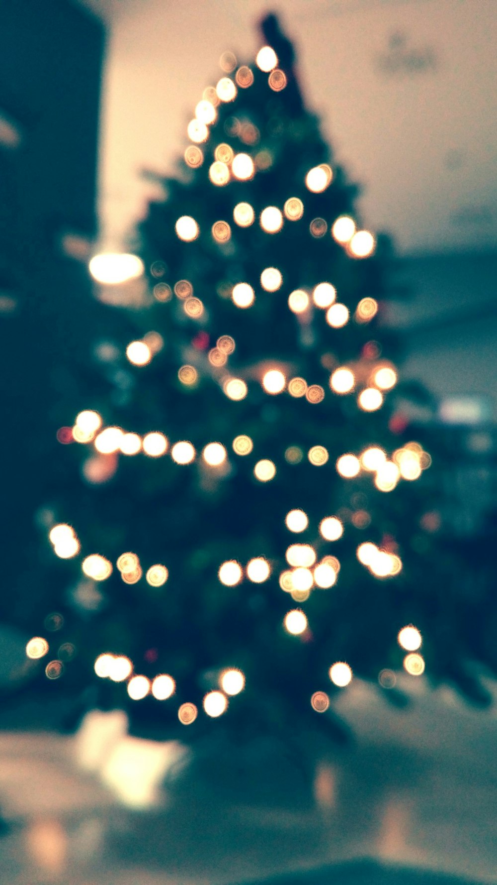 ストリングライトを点灯したクリスマスツリー