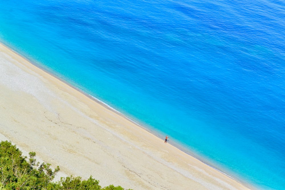 aerial photography of seahore