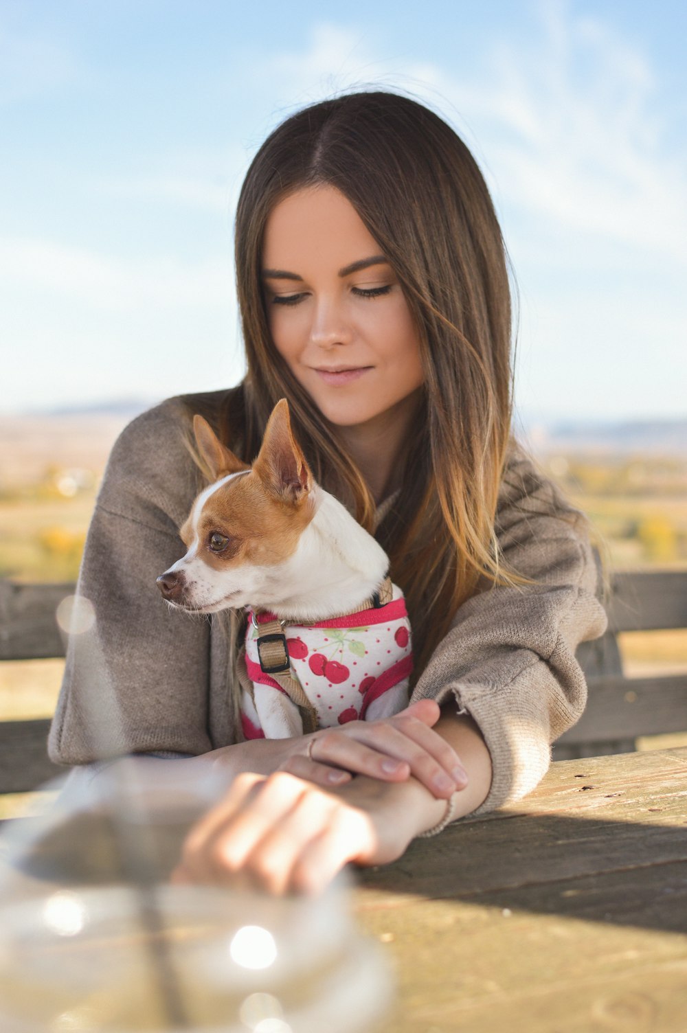 白と茶色のショートコートの子犬の後ろの女性のティルトシフト写真