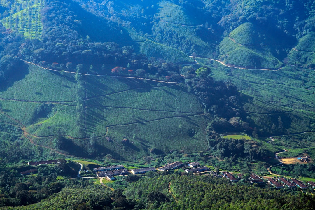 photo of Reserve Forest Hill station near Munnar