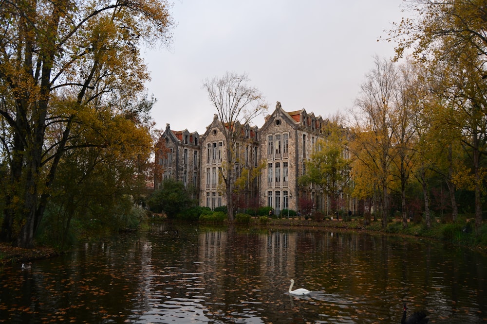 concrete cathedral beside river under gray sky