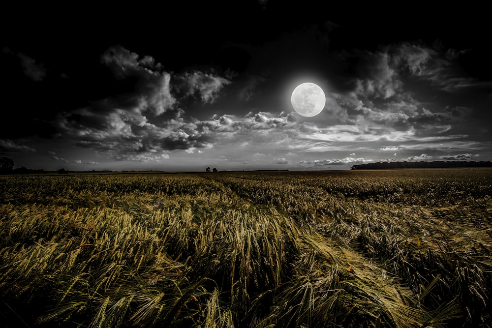 1500+ Dark Moon Pictures | Download Free Images on Unsplash