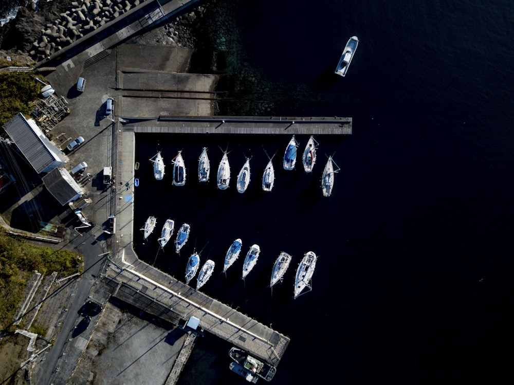 aerial photography of white boats on dock