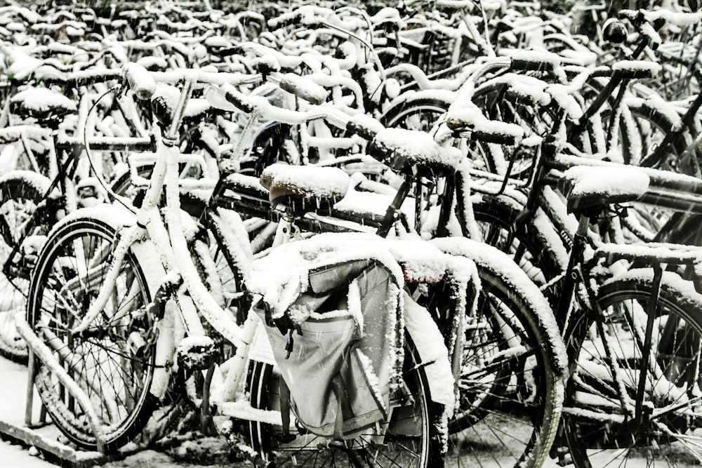 assorted bicycles in shallow focus photography