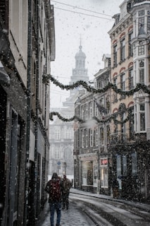 people walking near street between brown building during snow season