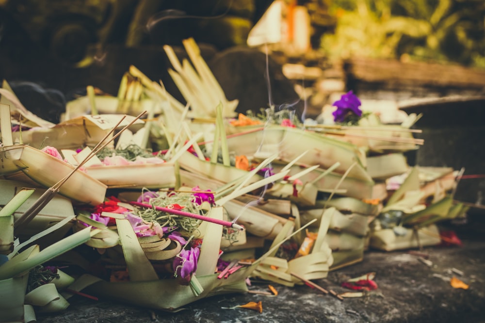 assorted-color flowers near coconut leaves