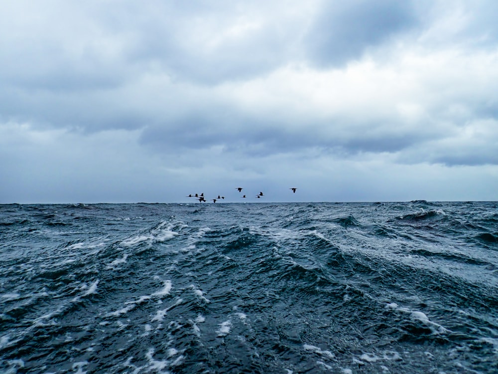 body of water under cloudy sky