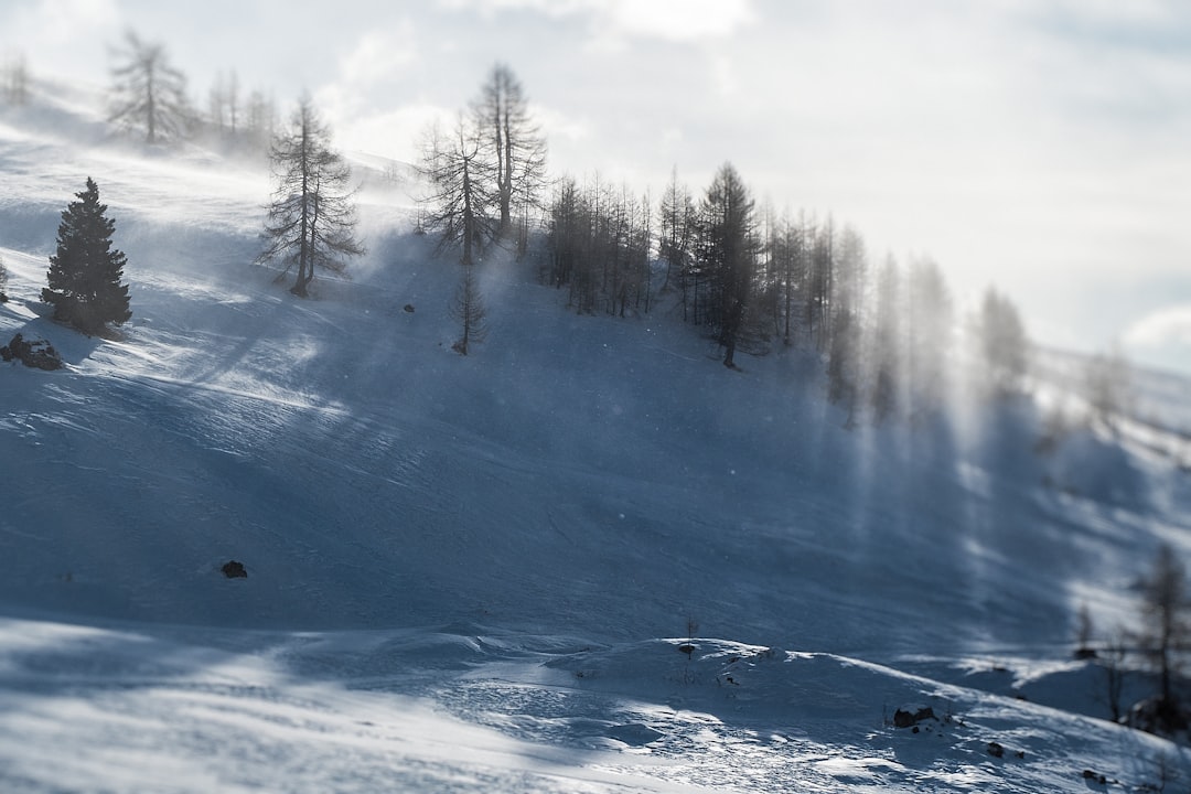 Mountain photo spot San Pellegrino Pass Karersee